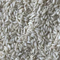 حراج برنج عنبربو