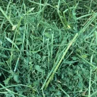 یونجه و پوشال بستر جوندگان و پلت یونجه