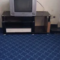 تلفزیون ۲۱ اینچ