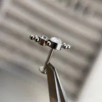 پیرسینگ همراه با آموزش با مدرک|خدمات آرایشگری و زیبایی|اندیشه, اندیشه فاز ۳|دیوار