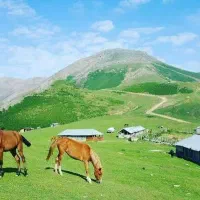 تور گروهی شمال 6 روزه