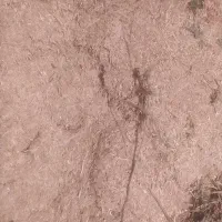 یونجه و مقداری کاه