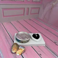 کنسرو گردنبند مروارید عشق|بدلیجات|ایلام, |دیوار