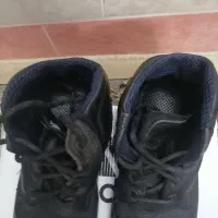 کفش کاروکفش سربازی|کیف، کفش، کمربند|قم, چهل درخت|دیوار