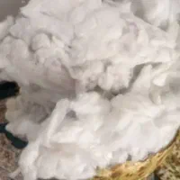 پشم شیشه