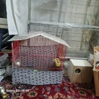 قفس پرنده