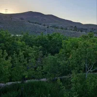 فروش-باغ