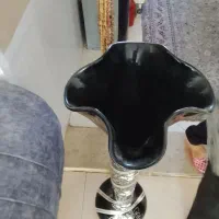 گلدان سالم سالم تخفیف جزیی داره