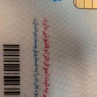 گم شده (مژدگانی)