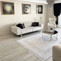 نظافت منزل (خانوم)