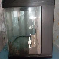 اکواریوم رو میزی