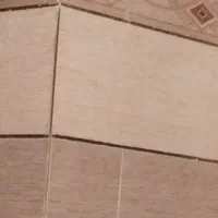 استاد بنا همه کاره