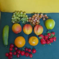 لوازم خانه|حراج|کیش, |دیوار