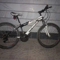 دو عدد دوچرخه