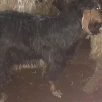 ی عدد بیگ ب فروش میرسد قیمت توافقی