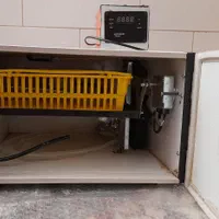 دستگاه جوجه کشی|لوازم جانبی حیوانات|سیرجان, |دیوار