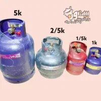 انواع پیک نیک/گاز و ...