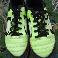 کفش ورزشی نو