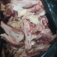 کمروچربی مرغ