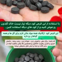 قرص کود ارگانیک برای رشد ده برابری گیاه|گل و گیاه طبیعی|الیگودرز, |دیوار