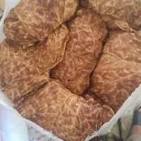 برگ زرد|عمده‌فروشی|کاکی, |دیوار