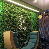 چمن مصنوعی و گرین وال با نظافت راحت|مصالح و تجهیزات ساختمان|مشهد, وکیل‌آباد|دیوار