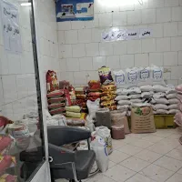 انواع برنج خاطره و هاشمی