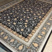 تک ۱۲متری نو