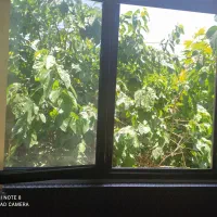 مرکزشهر (بر خیابان با امنیت بالا) + تمیز + پارکینگ