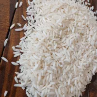 برنج علی کاظمی