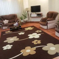 فرش و مبل فروشی