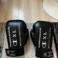 دست کش کیک بوکس و موی تای