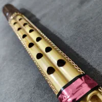 دسته و پوست زیبا|سازهای بادی|بوشهر, |دیوار