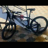 دوچرخه حرفه‌ای