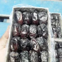 خرما مضافتی