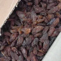 کشمش آفتابی درشت