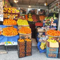 واگذاری میوه فروشی