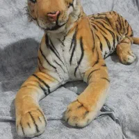 ببر بزرگ|اسباب‌‌بازی|شاهرود, |دیوار