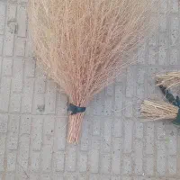 جارو(گزی باخی)|جاروبرقی، جارو شارژی، بخارشو|روانسر, |دیوار