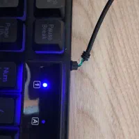 کیبورد گلد اسکار|قطعات و لوازم جانبی رایانه|کرج, بنیاد|دیوار