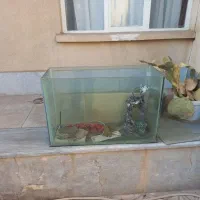 آکواریوم بزرگ