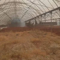 گلخانه/باغ ویلا|فروش دفتر صنعتی، کشاورزی، تجاری|اهرم, |دیوار