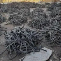 خریدار شلنگ قطره ای|خدمات باغبانی و درختکاری|دهدشت, |دیوار