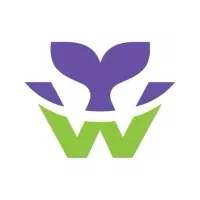 استخدام نیرو در بخش های مختلف