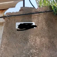 ویلایی-برخیابان-اصلی