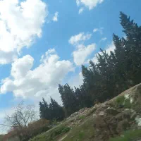 فروش-باغ-پسته1000-متری