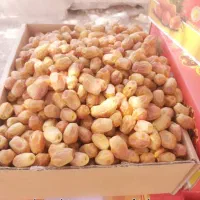 قصب ( زاهدی سید) افزر قیروکارزین|خوردنی و آشامیدنی|شیراز, گل سرخ|دیوار