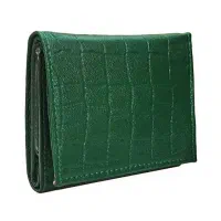 کیف پول سبز رنگ گمشده