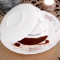سرنوشت ،گذشته آینده|خدمات پذیرایی، مراسم|اسلام‌شهر, شهرک مهدیه|دیوار