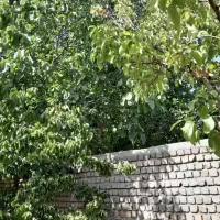 باغچه 1000متری